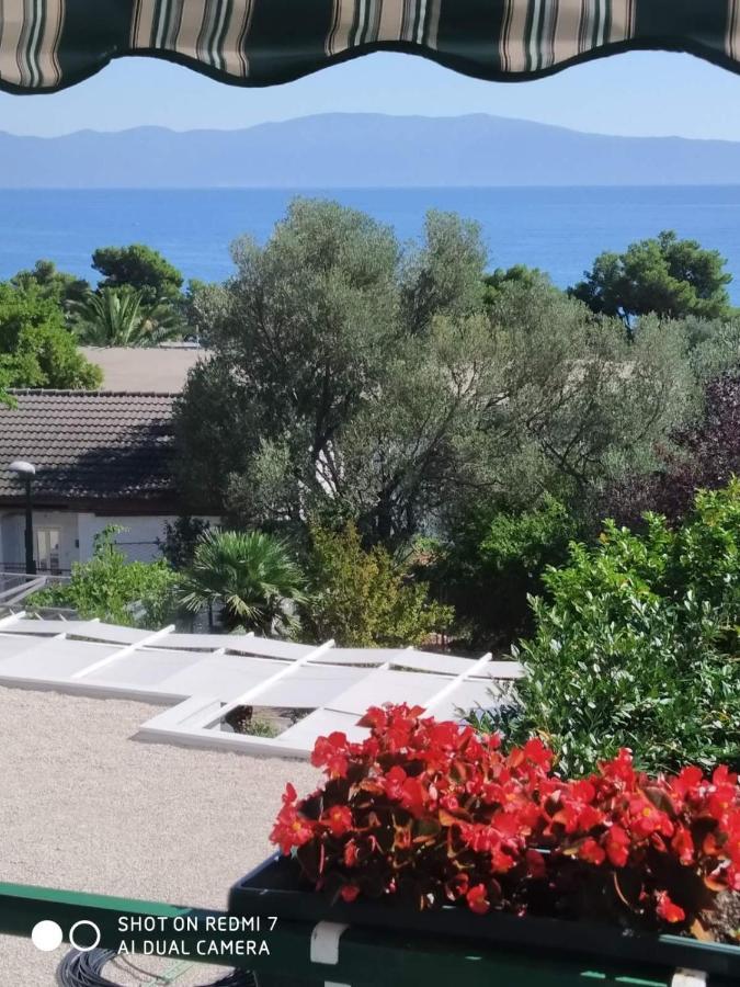 Apartmani Glavina Zaostrog Εξωτερικό φωτογραφία